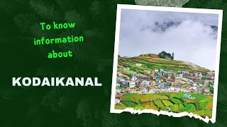 How our channal helps in Kodaikanal I Budjet Rooms I kodaikanal tour plan I budjet cars I taxi