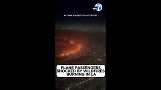 Plane passengers shocked by wildfires burning in LA