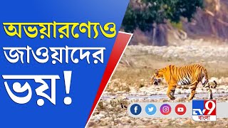 ধেয়ে আসছে 'জাওয়াদ', সরানো হল সুন্দরবন টাইগার রিজার্ভের কর্মীদের | Jawad Cyclone | Sundarbans