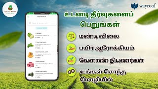 டிஜிட்டல் விவசாயப் புரட்சி | மண்டி விலை, பயிர் ஆரோக்கியம், விவசாய ஆதரவு மையம் | Outgrow