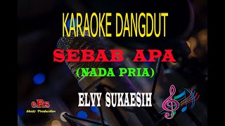 Karaoke Sebab Apa Nada Pria - Elvy Sukaesih (Karaoke Dangdut Tanpa Vocal)