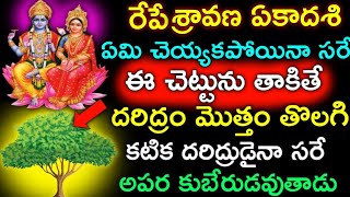 రేపే శ్రావణ ఏకాదశి ఈ చెట్టును తాకితే దరిద్రం మొత్తం తొలగి కటిక దరిద్రుడైనా అపరకుబేరుడవుతాడు అజఏకాదశి