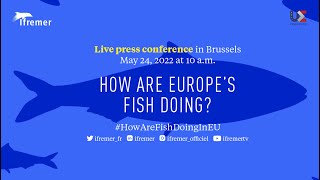 How are fish doing in Europe? 🐟🐠 [Press conference]