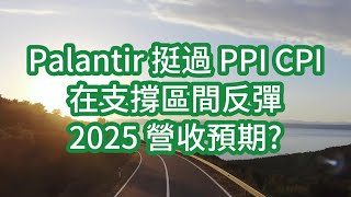 Palantir 挺過 PPI CPI 在支撐區間反彈 2025 營收預期 PLTR