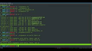 Bash Programming 5 Arguments