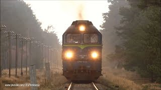 Mega długi najazd wśród Borów! ST44+SM42 w Bąku // ST44+SM42 with freight approaching Bak