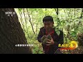 《生财有道》 20211005 咱们家乡有特产——吉林抚松：秋色满天 特产满山 cctv财经