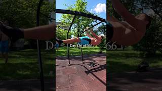 Day 136/366 #calisthenics #motivation #sports #frontlever  #workout