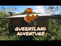 Cabin in the Mountains [Warning: Snake] - Queensland Adventure 1