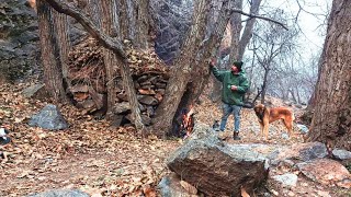 building a warm and cozy bushcraft shelter with fireplace/solo survival camping