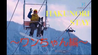 HAKUNORI STAY 〜ワンちゃん編〜