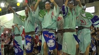 「千葉葵連」第30回南越谷阿波踊り（2014.8.24）