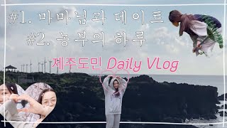 VLOG 제주도민 일상브이로그 (엄마랑 데이트,농부의 하루)