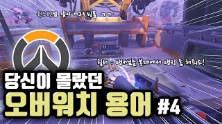 당신이 여태까지 모르고 사용했던 오버워치 용어 59가지 정리 #4