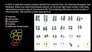 Haploidy, Monosomy, Mosaicism, Trisomy, Balanced translocation explained