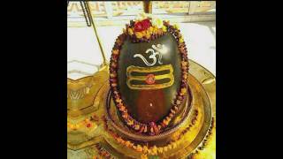 Mahadev status video 💫 bholenath status ☘️ om deva deva #mahadev