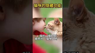 🐾猫咪的隐藏功能，你知道吗？🐾