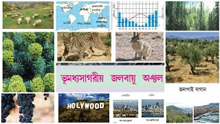 ভূমধ্যসাগরীয় জলবায়ু অঞ্চল