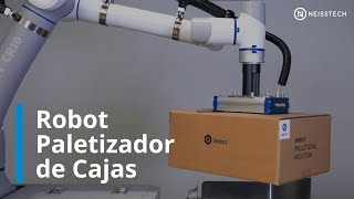 Neisstech - Robot Paletizador de Cajas