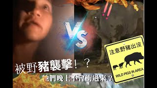 嚇死人！決鬥300kg香港野豬！我們被彭彭襲擊了🐗！疫情間崩潰的露營經歷！