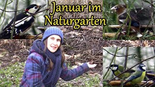 Januar im naturnahen Garten