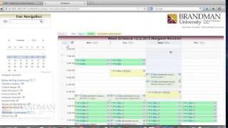 TutorTrac Tutorial for Tutors