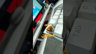 اجمد اختراعات للسيت اب 🤩 | افضل كيبوردات للكمبيوتر 🖥️