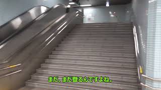 ST027　【駅中散歩】名古屋市営地下鉄　丸の内駅で桜通線から鶴舞線に乗り換えてみた（丸の内エクササイズ）