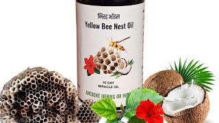 live🟢 Tataiya Bhirad Chatta Oil Kaise Banate Hai? yellow bee nest hair oil original