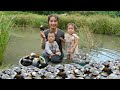 How to harvest giant oysters to sell at the market - cook oyster porridge for your children to eat