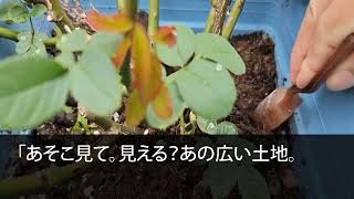 【スカッとする話】元夫を奪って再婚した新妻「医者の彼が1億の豪邸建てるの」私「無職が家を建てられるの？」新妻「え？」だって元夫は...