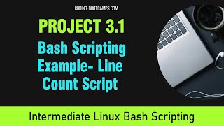 Master Linux Bash Scripting: Project 3.1- Example 1- Line Count Script