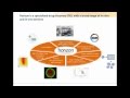 RNA-based screening in drug discovery – Introducing sgRNA technologies