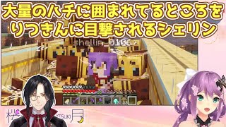 【Minecraft】大量のハチに囲まれてるところをりつきんに目撃されるシェリン【シェリン・バーガンディ/桜凛月/にじさんじ切り抜き】