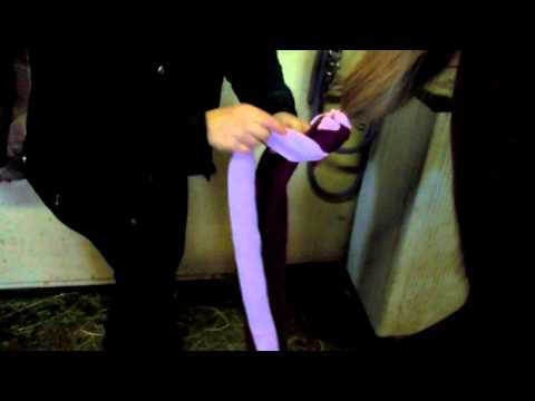 How to Wrap Your Horse's Tail w/ a 3 Tube Tail Braid How to Wrap Your Horse's Tail w/ a 3 Tube Tail Braid