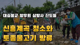 대승불교 양우회 삼방사 신도들, 신흥계곡 청소와 토종 물고기 방류