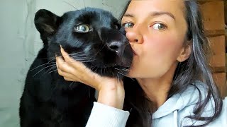 We measure the panther Luna and the Rottweiler Venza 🐆 / Luna meets me from vacation