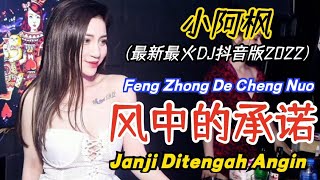 小阿枫 - 风中的承诺 (最新最火DJ抖音版2022) Feng Zhong De Cheng Nuo【Janji Ditengah Angin】- Terjemahan Indonesia