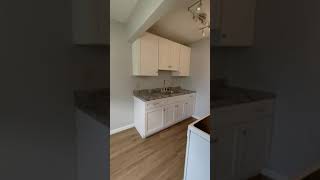 201 N Chicago #9   Walk Thru Video (1B/1B Apartment)