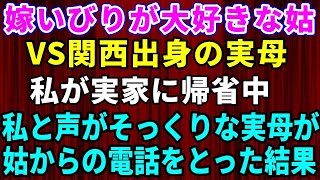 【スカッとする話】嫁いびりが大好きな姑にブチギレて実家に帰省中→私と声がそっくりな実母が姑からの電話を受け取った結果w【猫耳スカッと劇場】