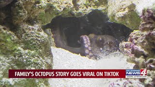 Family's octopus story goes viral on TikTok