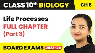 Life Processes - Full Chapter Explanation (Part 3) | Class 10 Biology Chapter 6 2022-23