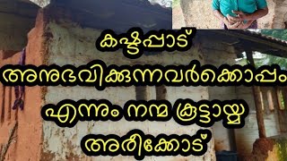 ആ വല്ല്യമ്മച്ചിയുടെ ചെറിയൊരു അഭ്യർത്ഥന നന്മ  കൂട്ടായ്മ അരീക്കോട് ഏറ്റെടുത്തു