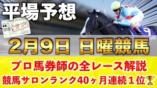 【2月9日日曜競馬予想】想定11番人気103.7倍の馬を狙い撃つ‼️プロが平場全レース予想を無料公開！【平場予想】