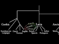 latin and its indo european language family