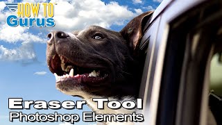 How You Can Use Photoshop Elements Eraser Tool to Remove a Background from an Image