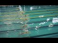 제46회 전국소년체육대회 수영 여자초등부 평영 50m 결승 for swimmer