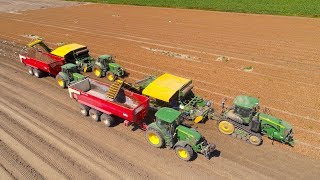 Harvesting Tulip Bulbs in Netting | Bollenteelt op 2.25 bedden | Vido Fleur | John Deere /Koops