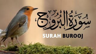Surah Al-Burooj (The Great Star) | Full With Arabic | Surah Burooj Beautiful Recitation (Ep-08)