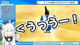 【ポケ剣盾】ウッウが好きすぎる白上フブキの鳴き声ひたすらまとめ